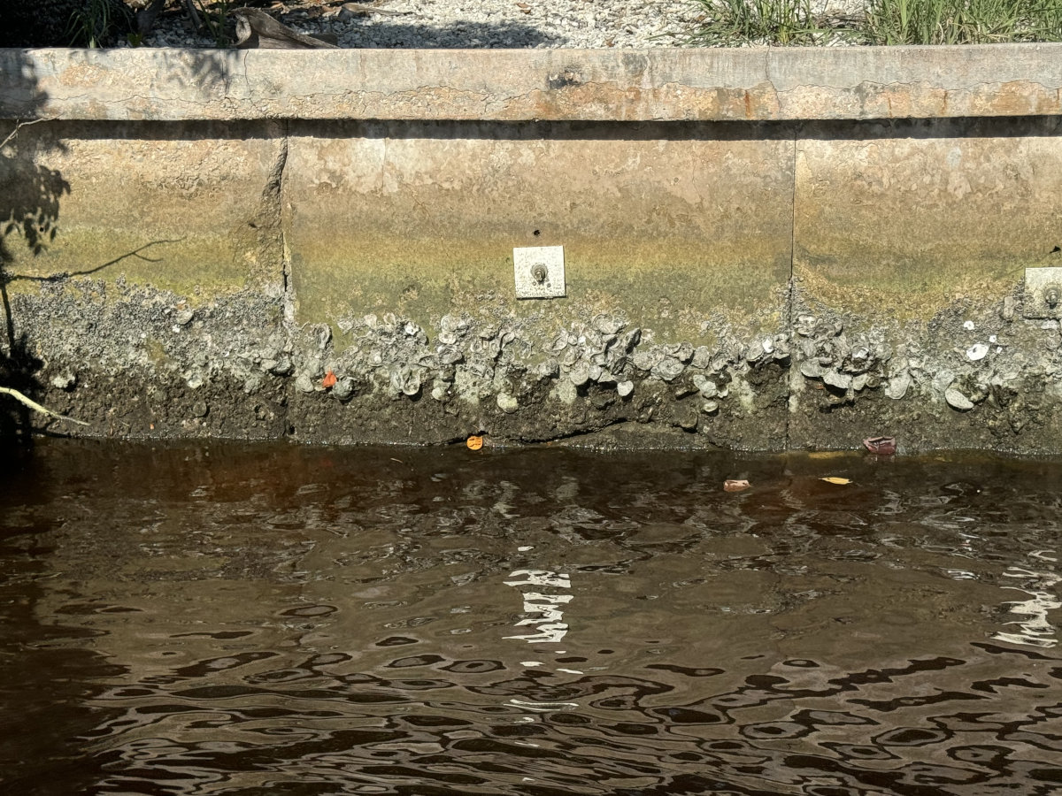 Saltwater, Soil Loss & Hydrostatic Pressure Explained Simply