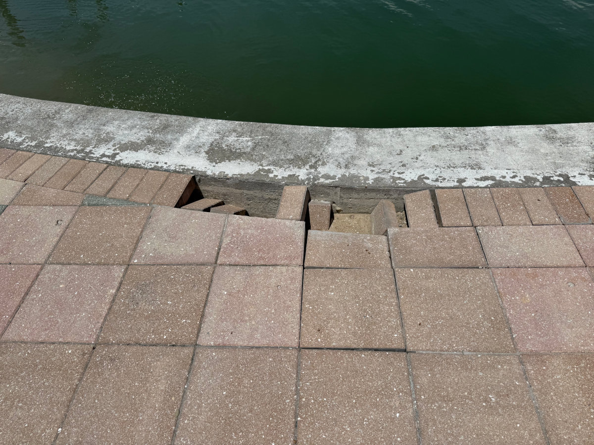 Signs Your Seawall Needs Professional Attention (Not an Emergency)